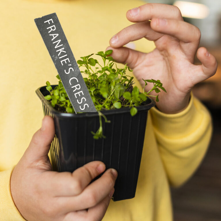 Personalised Slate Plant and Herb Marker