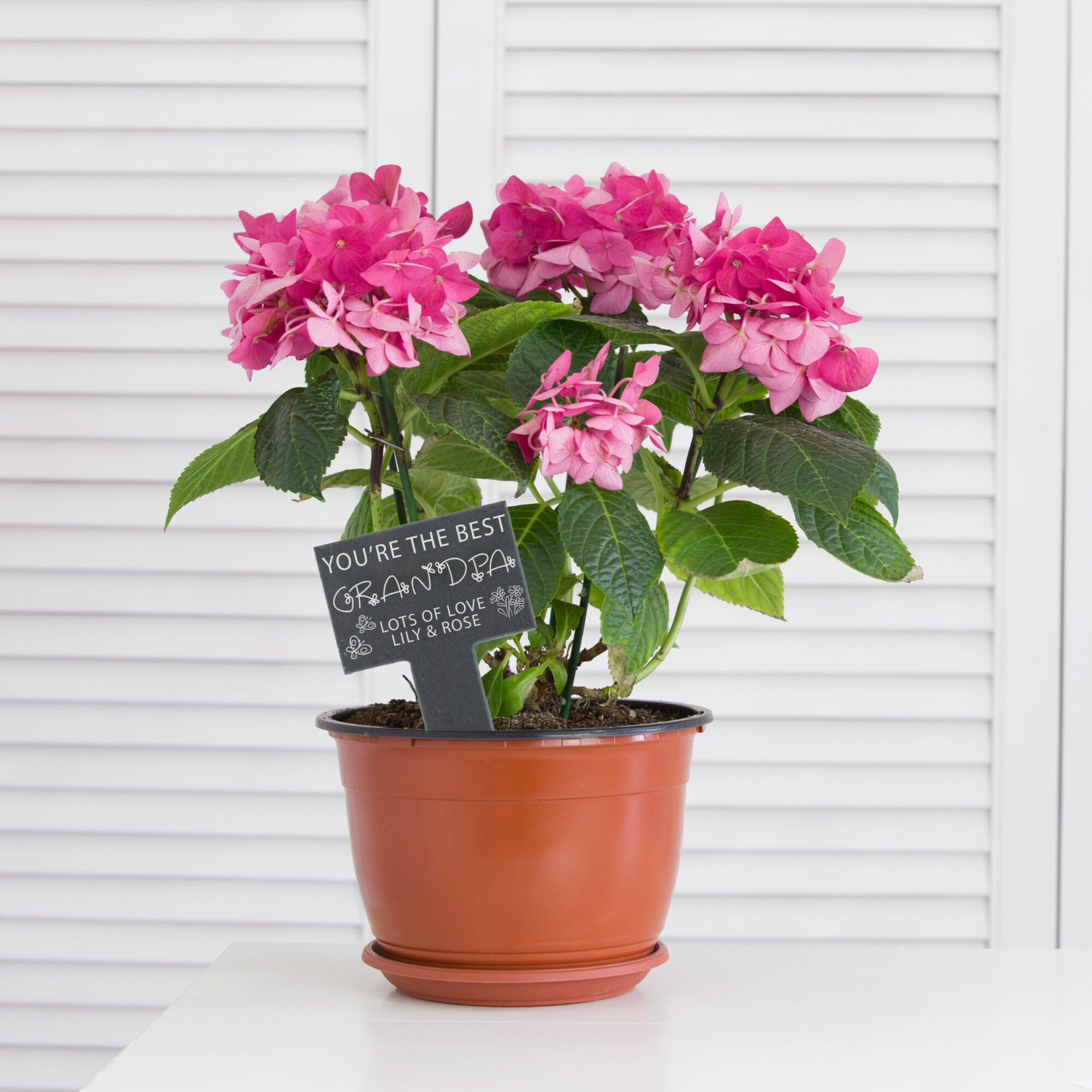 Personalised Slate Planter Marker Sign
